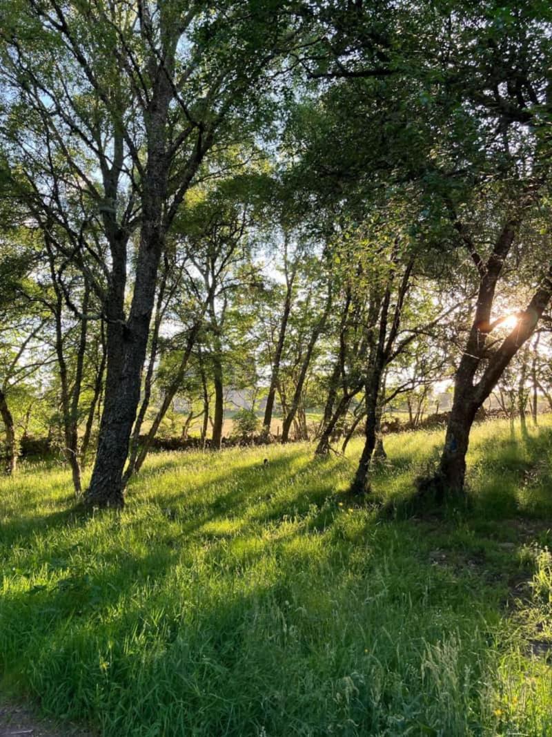 Migdale Pods Luxury Glamping Apartman Bonar Bridge Kültér fotó